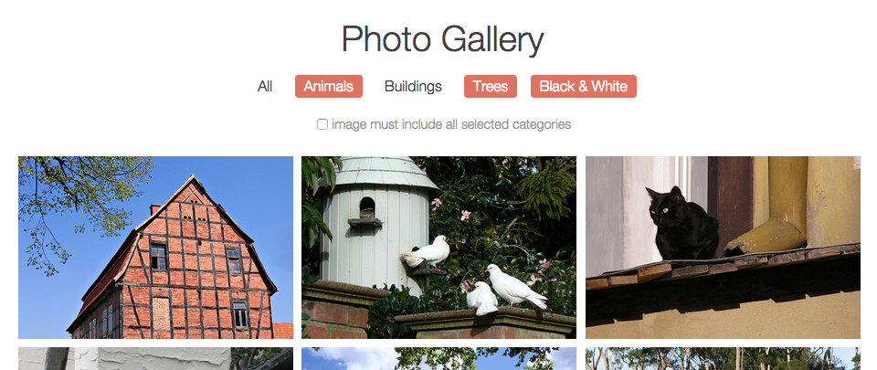ex prev gallery jQuery 1
