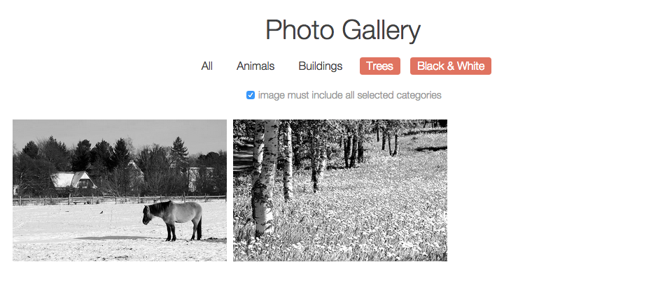 ex prev gallery jQuery 2