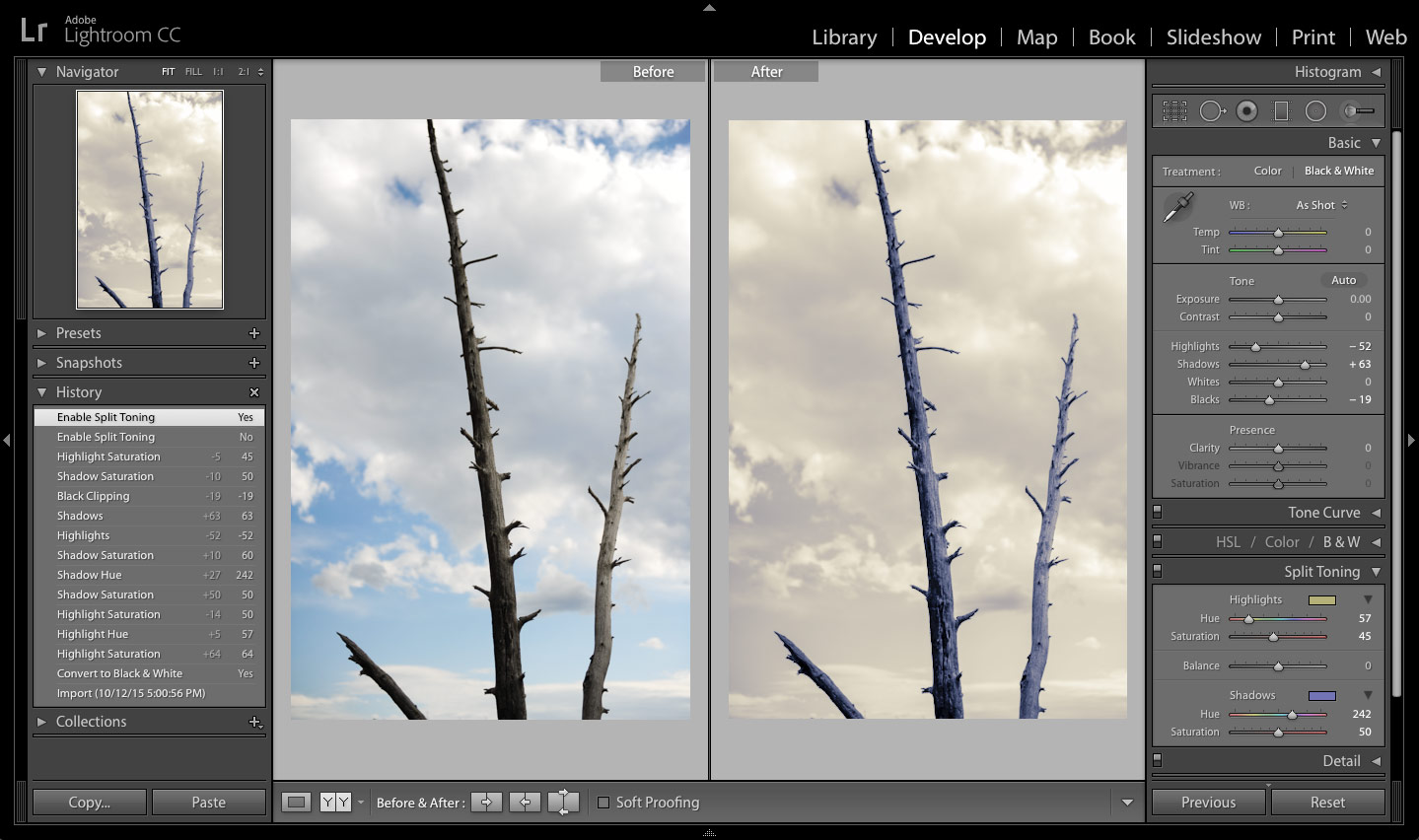 lightroom previewB6