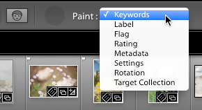 screenshot painter keyword