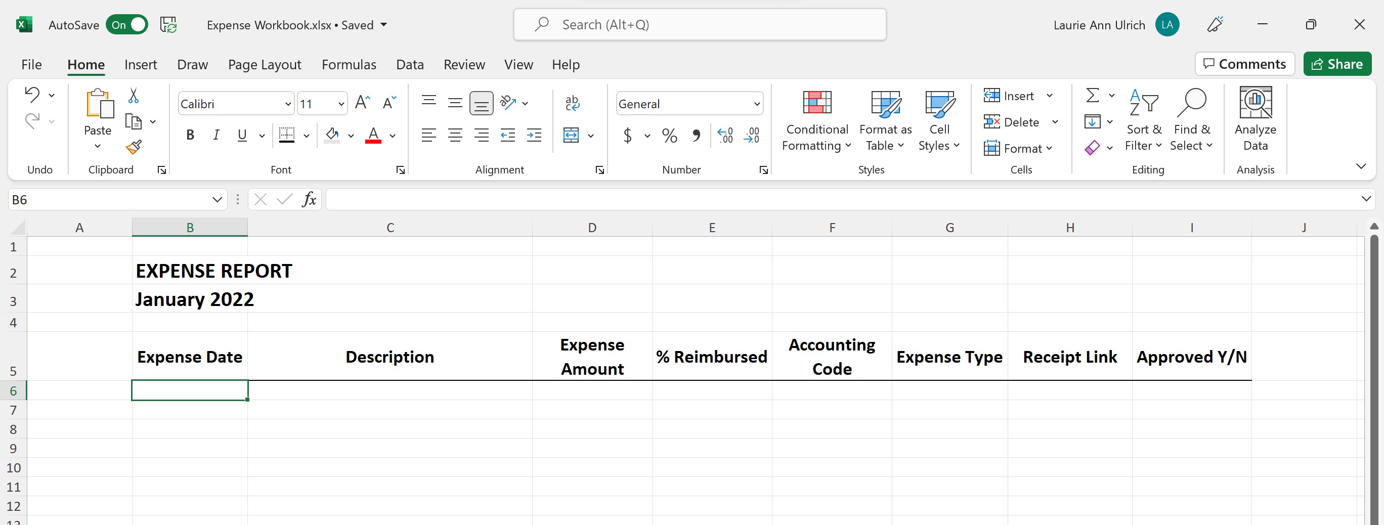 Store Your Own Expense Data
