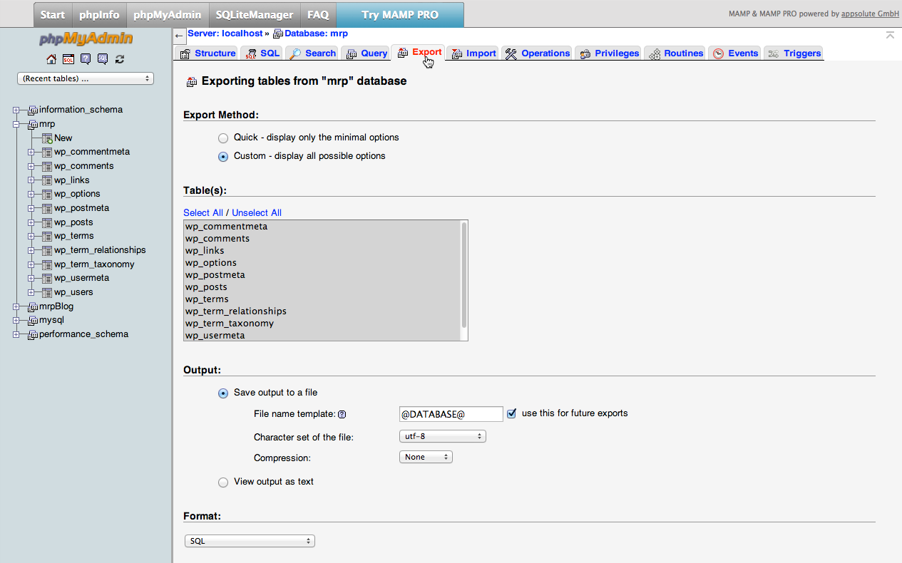 Uploading A WordPress Site