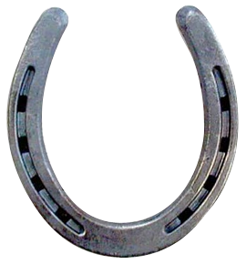 horseshoe done