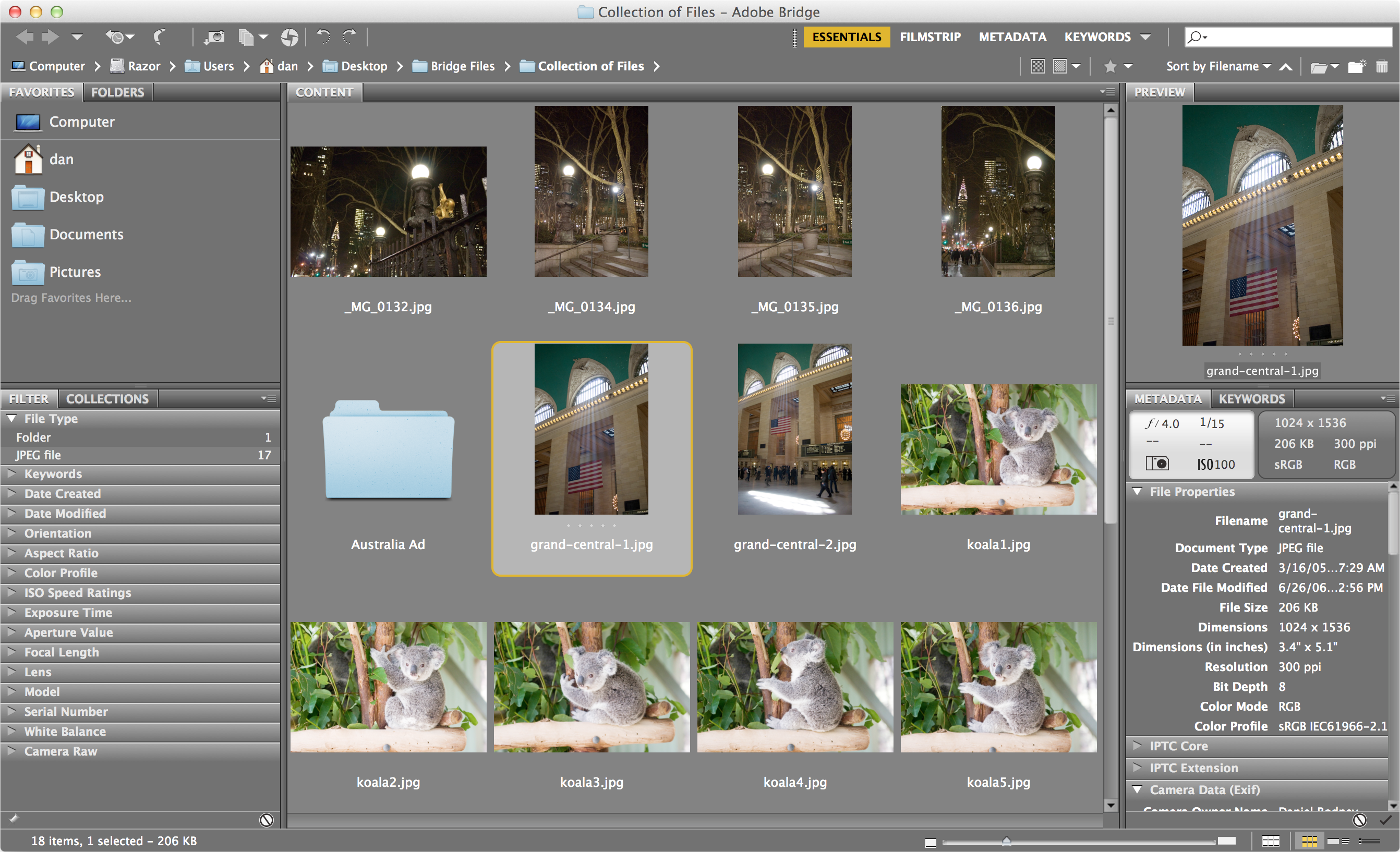 bridge organizing files