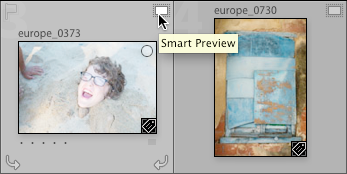 smart previews photo is missing not