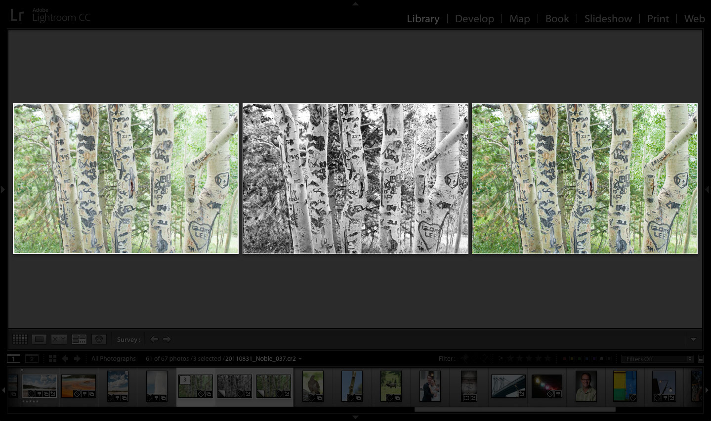 lightroom preview3I