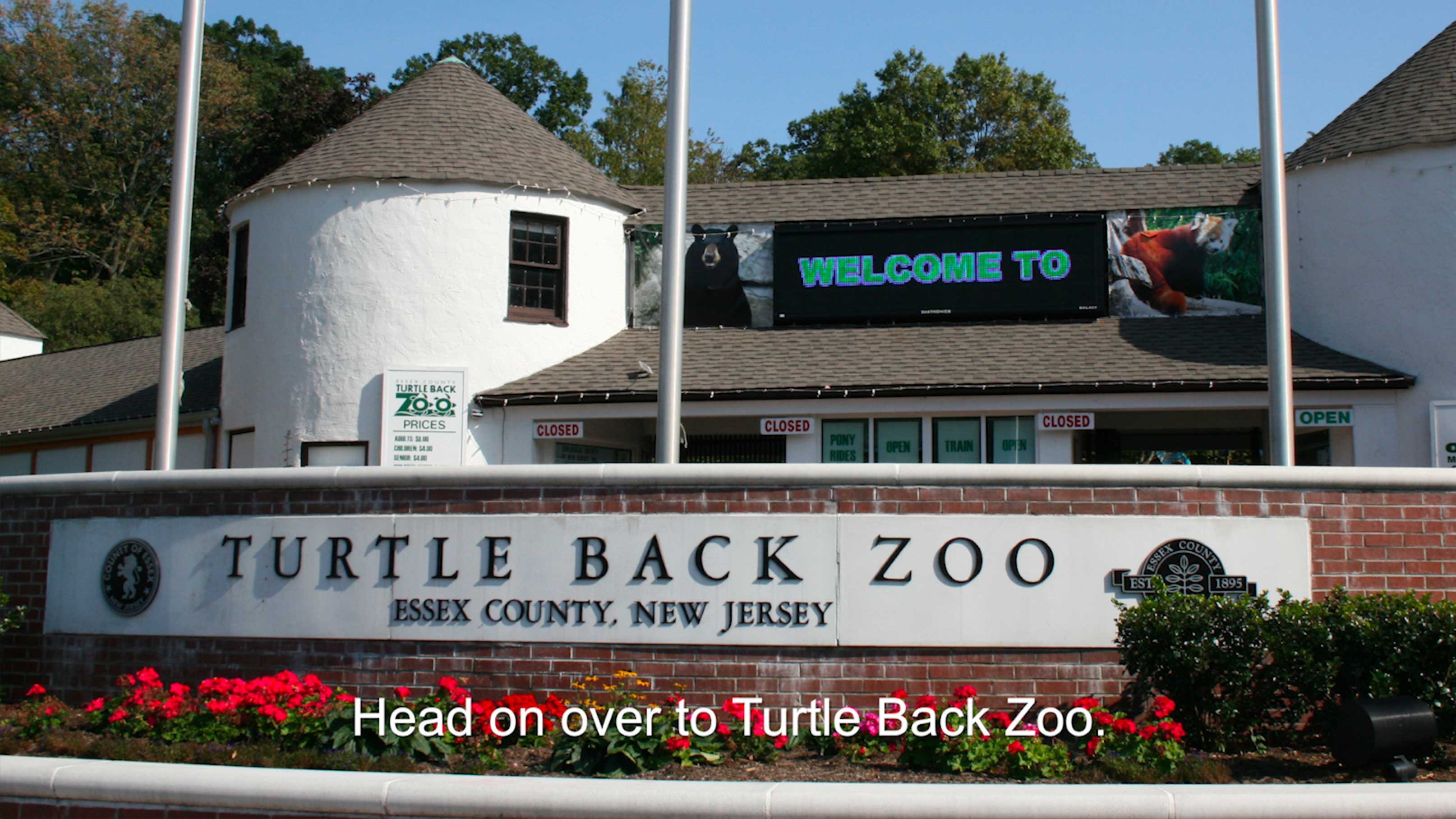 ex prev zoo subtitles