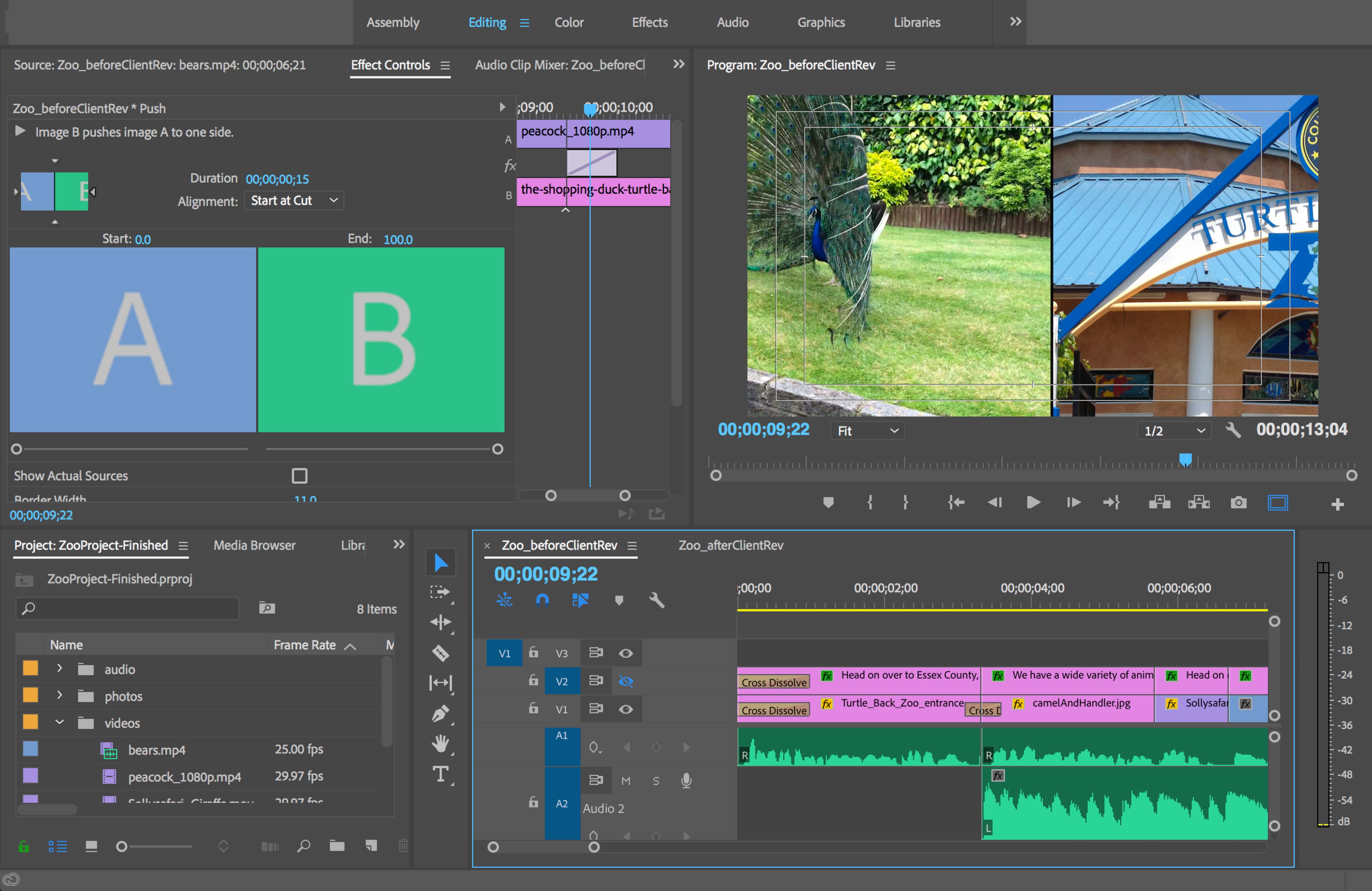 ex prev zoo transitions